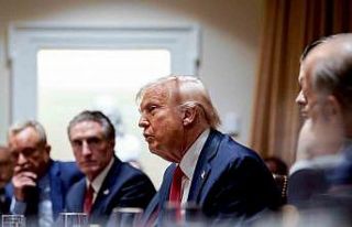 Trump: "Putin savaşı sona erdirmek için taviz...