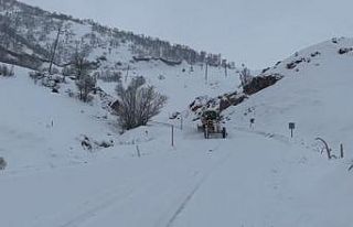 Tunceli için kuvvetli kar yağışı uyarısı