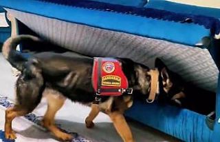 Tunceli’de 200 milyon liralık dolandırıcılığa...