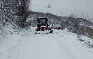 Türkeli’nin yüksek kesimleri kara teslim