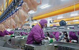 Türkiye AB’ye işlenmiş tavuk eti ihracatına...