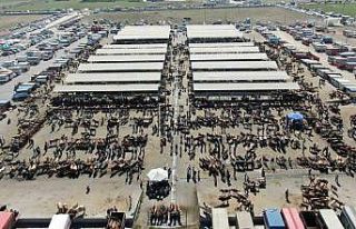 Türkiye’nin en büyük hayvan pazarı şap nedeniyle...