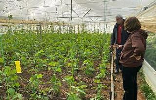 Üreticilere bitki sağlığı eğitimi verildi