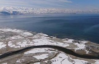Van Gölü soğuyamadı