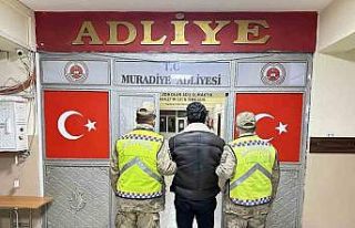 Van’da 5 düzensiz göçmen yakalandı