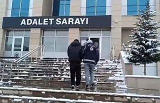 Van’da 6 organizatör tutuklandı