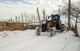 Van’da karla mücadele