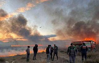 Yamadı Gölü’nde 10 günde üçüncü yangın:...