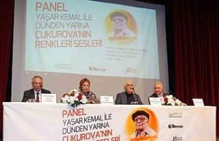 Yaşar Kemal Sanat Günleri, "Yaşar Kemal İle...