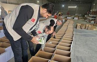 Yedi Başak Derneği Gazze için 81 ilden 81 tır...