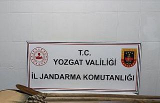 Yerköy’de kaçak kazıya suçüstü