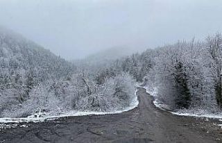 Yüksek kesimlerde kar yağışı yeniden etkisini...