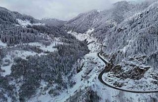 Zigana Dağı’ndan kar manzaraları