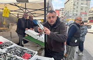 Zonguldak’ta istavrit tezgahları şenlendirdi