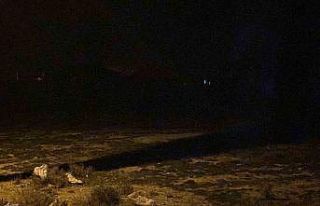 2 yaşındaki çocuk köpeklerin saldırısı sonucu...