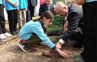 Adıyaman’da okulun bahçesine kurulan serada sebzeler...