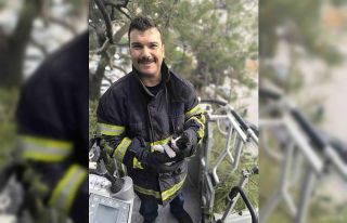 Ağaçta mahsur kalan kediyi itfaiye kurtardı