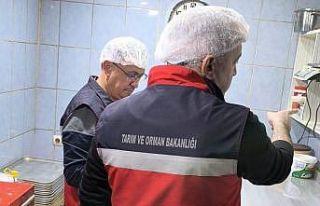 Altıntaş’ta gıda denetimi