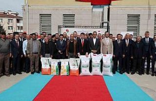 Amasya’da çiftçilere kuraklığa dayanıklı yağlık...