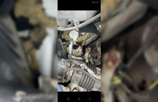 Ambulansın motor bölümüne giren kedi kurtarıldı
