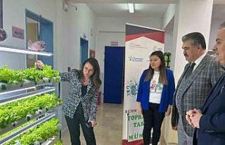 Anaokulunda topraksız tarım, ilk hasat yapıldı