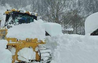 Artvin Macahel yoluna çığ düştü