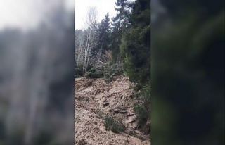 Artvin’de heyelan ormanı yerle bir etti, köy yolunu...