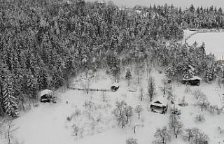 Artvin’de zorlu kış şartlarında boğa bakımı...