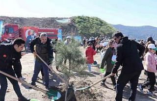 Aydın’da fidanlar toprakla buluştu