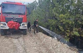 Aydın’daki orman yangını kontrol altına alındı