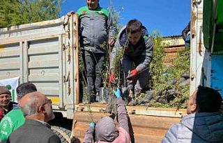 Ayvacık’ta 3 bin fidan dağıtıldı