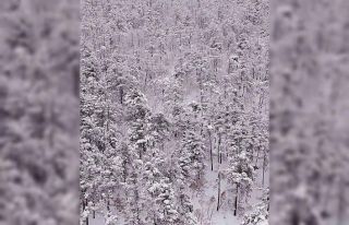Baharda yağan kar yağlı boya tablosunu andırdı