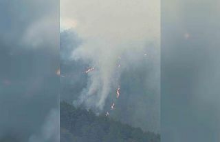 Balıkesir’de orman yangını