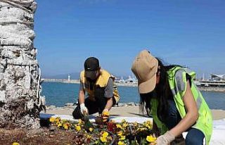 Başkan Çerçioğlu’ndan Aydın’ın turizm merkezlerinde...