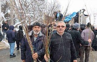 Başkan Özdoğan: "Hacılar’ımız meyveyi...