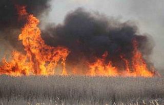 Beyşehir Gölü Milli Parkında sazlık alanda yangın