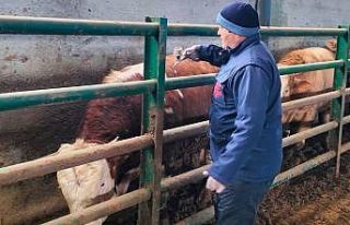 Beyşehir’de hayvan sağlığı için seferberlik