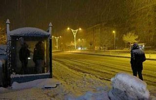 Bitlis’te kar yağışı etkili olmaya devam ediyor