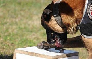 Bolu’da 7 farklı uyuşturucu operasyonu: 3 tutuklama