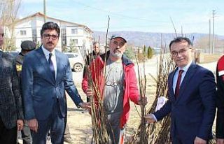 Bolu’da geleceğin fidanları yeşermeye devam edecek