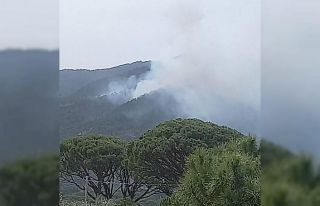 Bozdoğan’da orman yangını