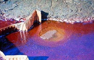 "Bu son şansımız mı?" gösterim programı...