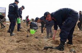 Burdur’da ’doğanın lezzeti ormanda saklı’...