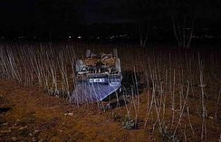 Bursa’da otomobil tarlaya uçtu: 1 yaralı