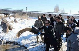 Çaldıran’da yaban hayvanları için doğaya yem...