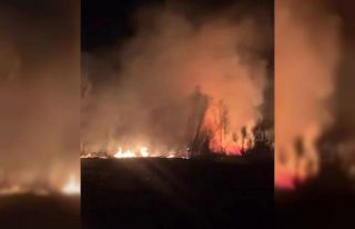 Çankırı’da arazi yangını