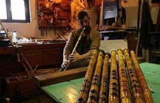 Caretta Caretta kabuğu ile 2 günde süslenen neyler...