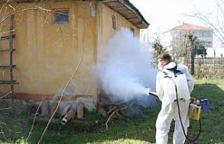 Çarşamba’da mahalleler ilaçlanıyor