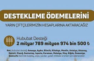Çiftçilere hububat destek ödemesi yapılacak