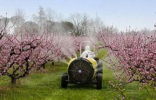 Çiftçilere yabancı otla mücadele uyarısı